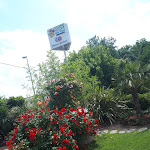 Photo n°3 de l'avis de Moira.a fait le 23/05/2021 à 16:39 sur le  Ristorante Pizzeria alle Rose - Specialità Baccalà e Pizze alla Soia à Vescovana