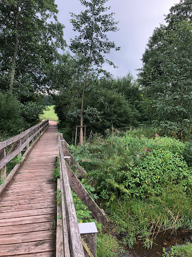 Campingplatz Kirnbergsee - Campingplatz