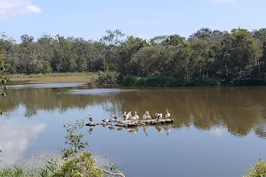 Berrinba Wetlands image