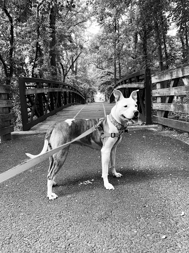 Pet Supply Store «Pet Supplies Plus», reviews and photos, 3120 NJ-35, Hazlet, NJ 07730, USA