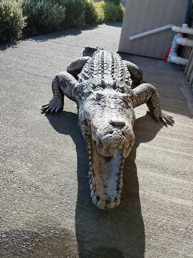 Zoo «Reptile Zoo», reviews and photos, 22715 US-2, Monroe, WA 98272, USA