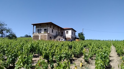 Domaine Romanesca à Fleurie