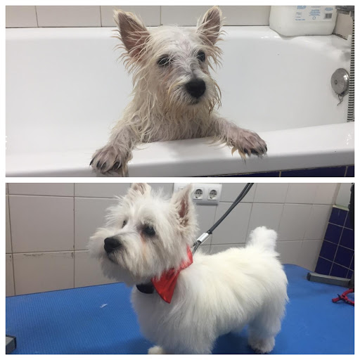 Veter Costa en Chiclana de la Frontera