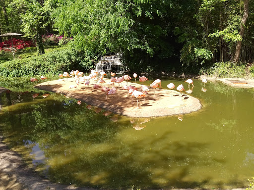 Zoo «Caldwell Zoo», reviews and photos, 2203 W Martin Luther King Jr Blvd, Tyler, TX 75702, USA