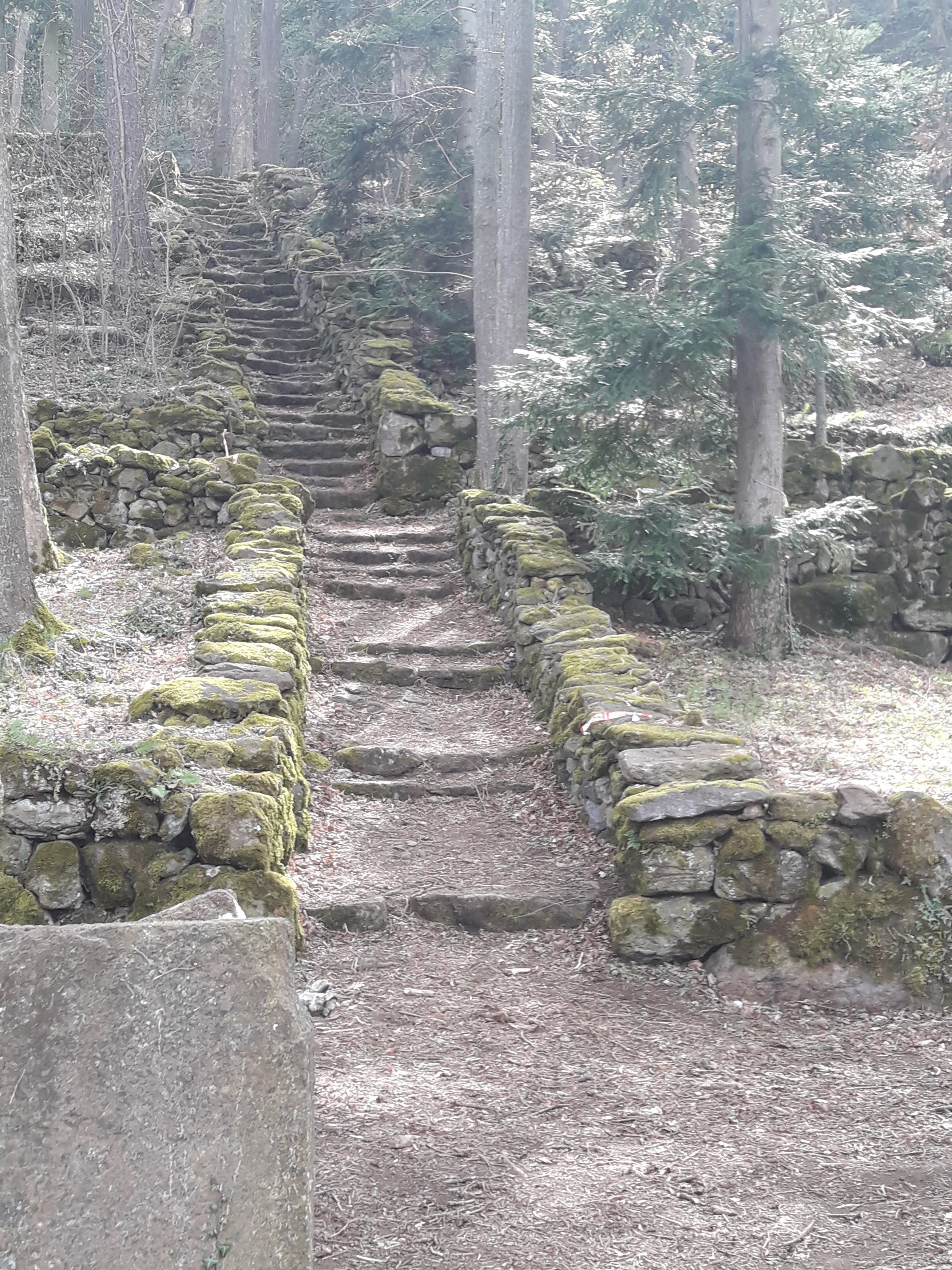 Photo n° 6 de l'avis de dad.a fait le 17/04/2019 à 04:15