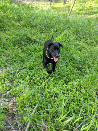 Park «Olmos Basin», reviews and photos, 651 Devine Rd, San Antonio, TX 78209, USA