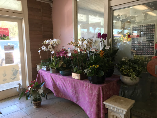 Florist «Fujii Florist», reviews and photos, 1900 Warburton Ave, Santa Clara, CA 95050, USA