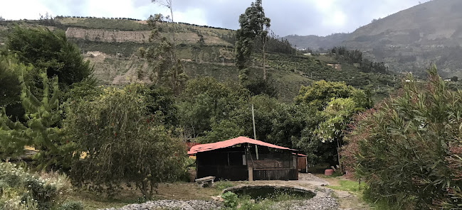 Opiniones de La Hiedra Hacienda Restaurant en Pelileo - Restaurante