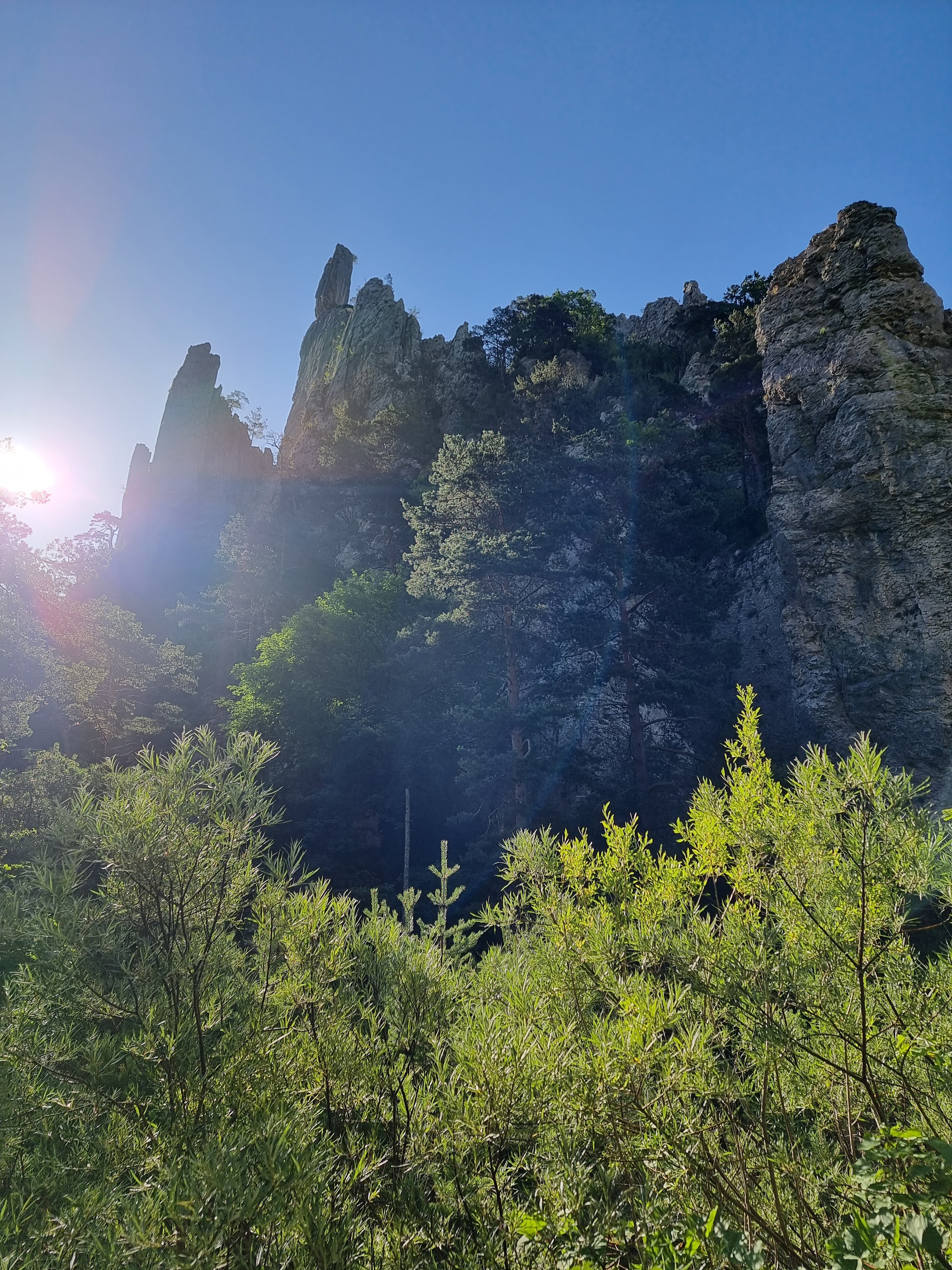Photo n° 2 de l'avis de Viktória.i fait le 16/07/2022 à 13:58