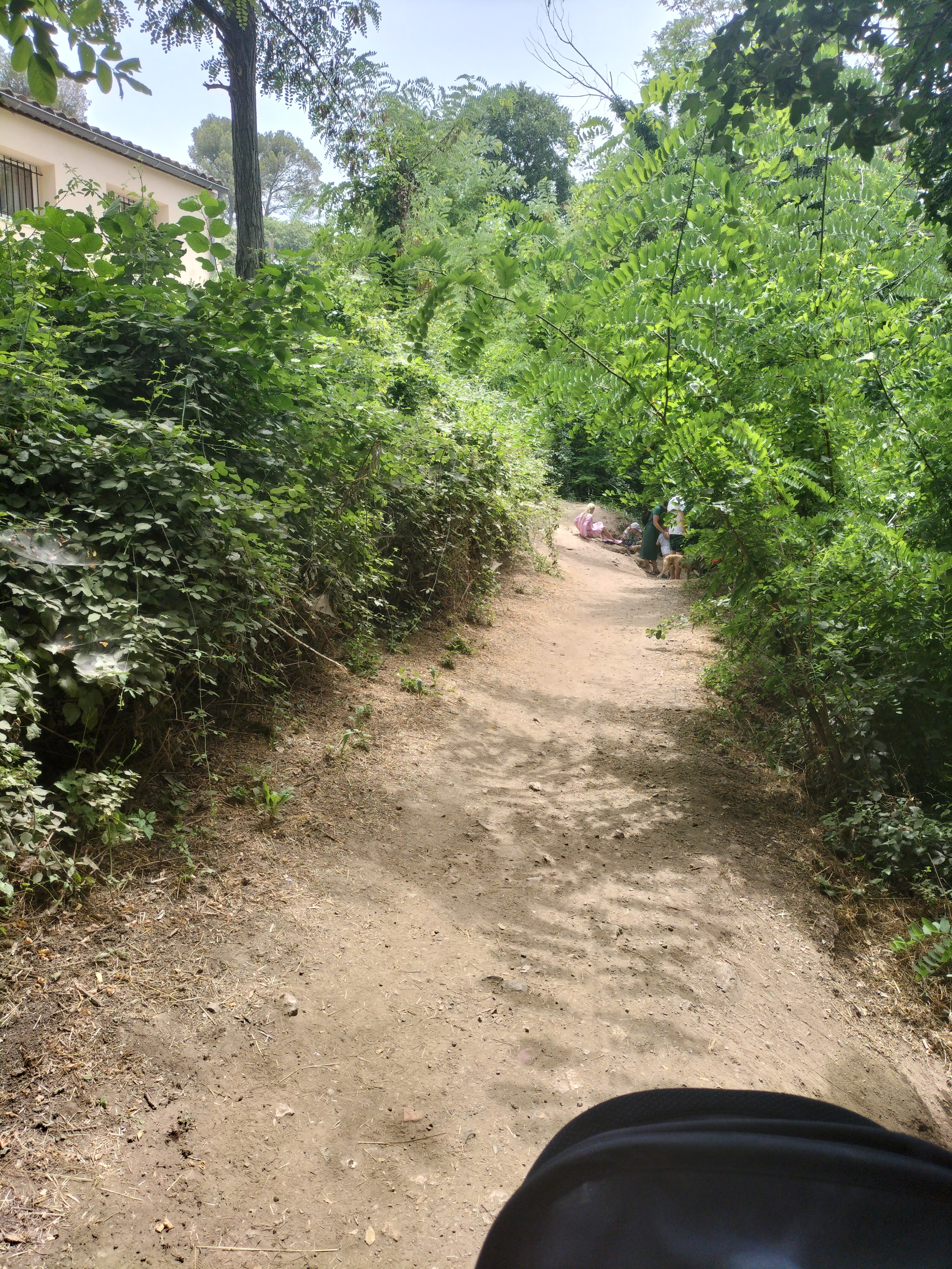 Photo n° 8 de l'avis de Lucas.e fait le 19/07/2023 à 15:01