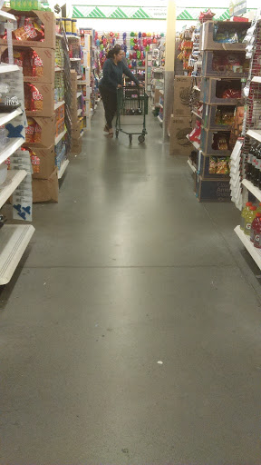 Dollar Store «Dollar Tree», reviews and photos, 3578 PA-611 #205, Bartonsville, PA 18321, USA