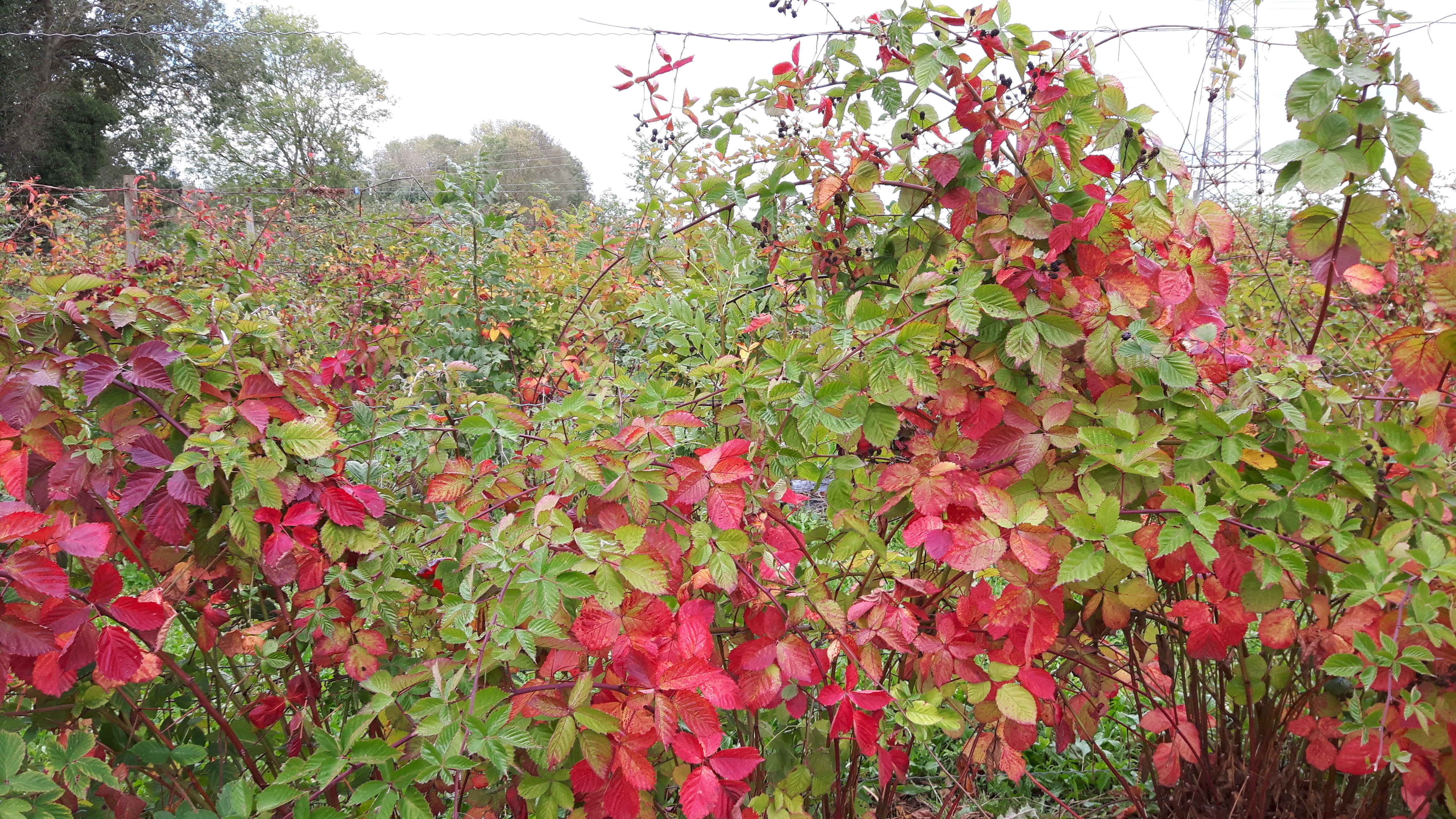 Photo n° 4 de l'avis de Delphes.a fait le 13/10/2020 à 09:41