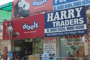 Harry pet shop image