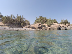 Foto av Wild Beach beläget i naturområde