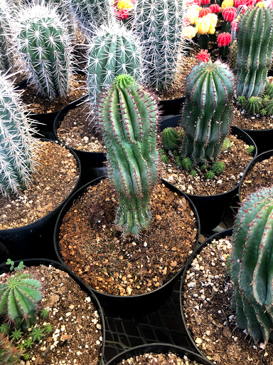 Home Improvement Store «The Home Depot», reviews and photos, 4302 N Oracle Rd, Tucson, AZ 85705, USA