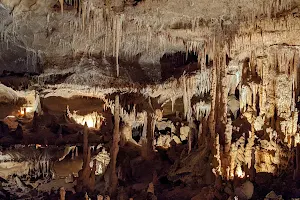Grottes préhistoriques de Cougnac image