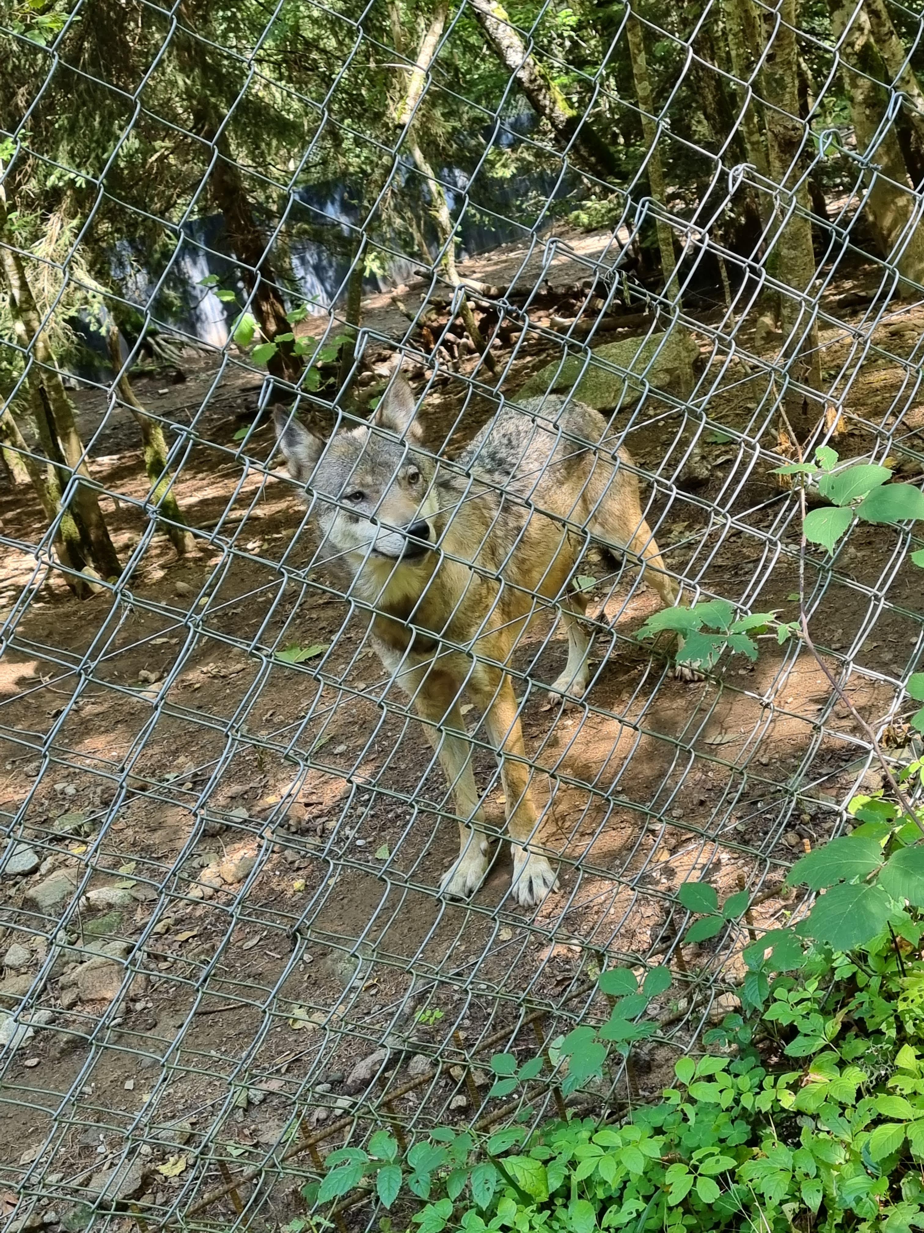 Photo n° 8 de l'avis de Laetitia.a fait le 27/08/2022 à 15:00