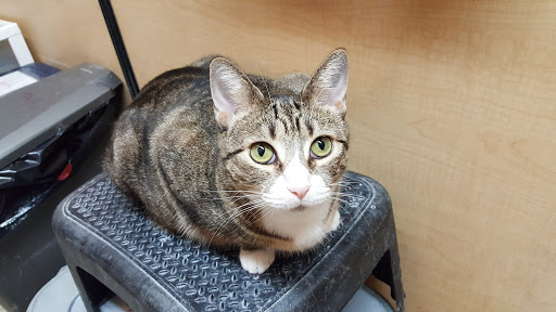 Pet Supply Store «PetSmart», reviews and photos, 2000 Clements Bridge Rd, Woodbury, NJ 08096, USA