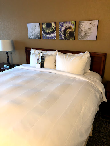 Hotel «Chicago Marriott Midway», reviews and photos, 6520 S Cicero Ave, Chicago, IL 60638, USA