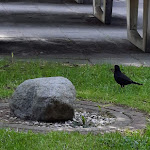 Photo n°6 de l'avis de Mireill.- fait le 26/05/2023 à 17:56 sur le  CAREA Residenz Hotel Harzhöhe à Goslar