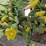 Photo n°5 de l'avis de Annalena.t fait le 24/06/2023 à 00:00 sur le  Grotte Beach Sicilia à Patti