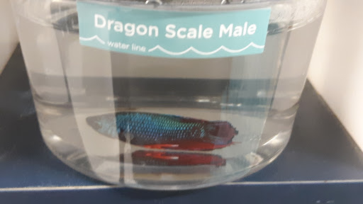 Pet Supply Store «Petco Animal Supplies», reviews and photos, 1201 E Washington Ave, Union Gap, WA 98903, USA