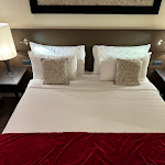 Photo n°39 de l'avis de Luke.a fait le 25/01/2024 à 20:15 sur le  Leonardo Royal Hotel Venice Mestre à Venice