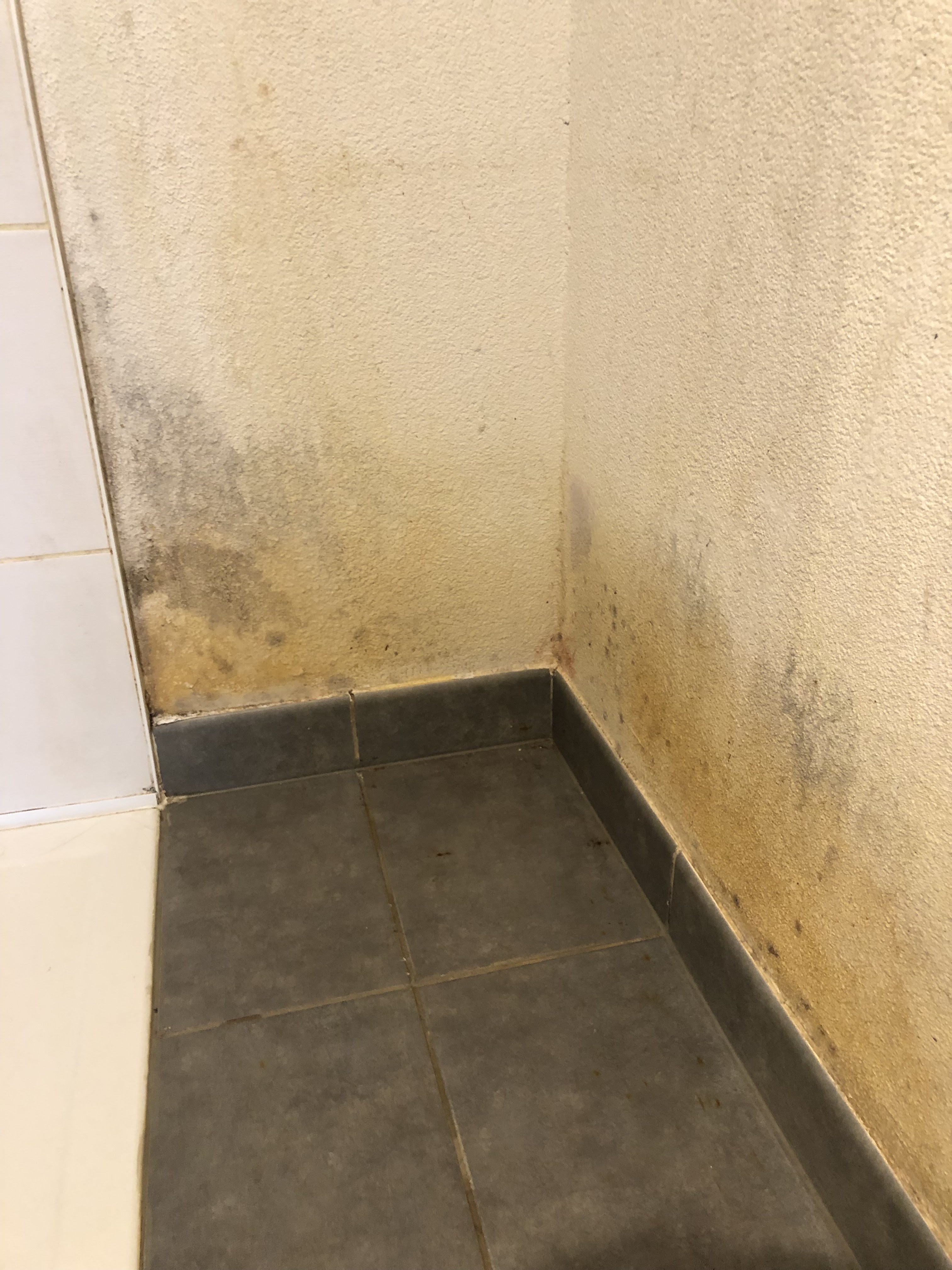 Photo n° 1 de l'avis de Jade.a fait le 30/08/2021 à 17:07