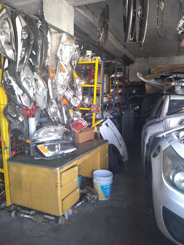AUTO PARTES EL BUFALO