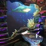 Photo n°3 de l'avis de Giuseppe.i fait le 12/02/2019 à 22:31 sur le  Hotel Carosello à Pontecagnano Faiano