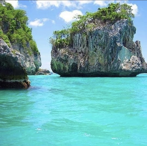 Used Car Dealer «CarMax», reviews and photos, 7420 W State Rd 84, Davie, FL 33317, USA