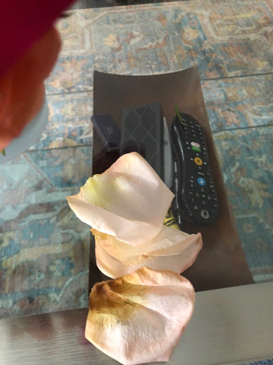 Florist «Winston Flowers - Concord», reviews and photos, 32 Main St #5, Concord, MA 01742, USA