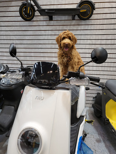 Motor Scooter Dealer «College Scooters», reviews and photos, 5112 Roanoke Pl a, College Park, MD 20740, USA