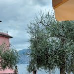Photo n°1 de l'avis de Alice.� fait le 09/07/2021 à 14:35 sur le  Osteria Casa Italia à Malcesine