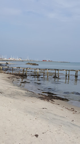 Opinii despre Lof Gribskov în Gilleleje - Skole