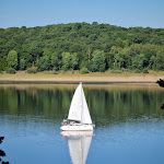 Photo n°3 de l'avis de Mike.c fait le 18/08/2022 à 20:53 sur le  DER SEEHOF Hotel+ Restaurant Heimbach/Eifel GmbH à Heimbach