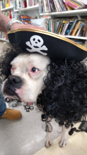 Thrift Store «Savers», reviews and photos