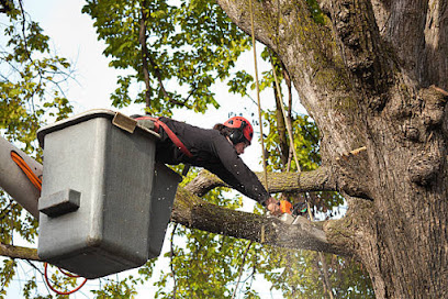Dependable Tree Service
