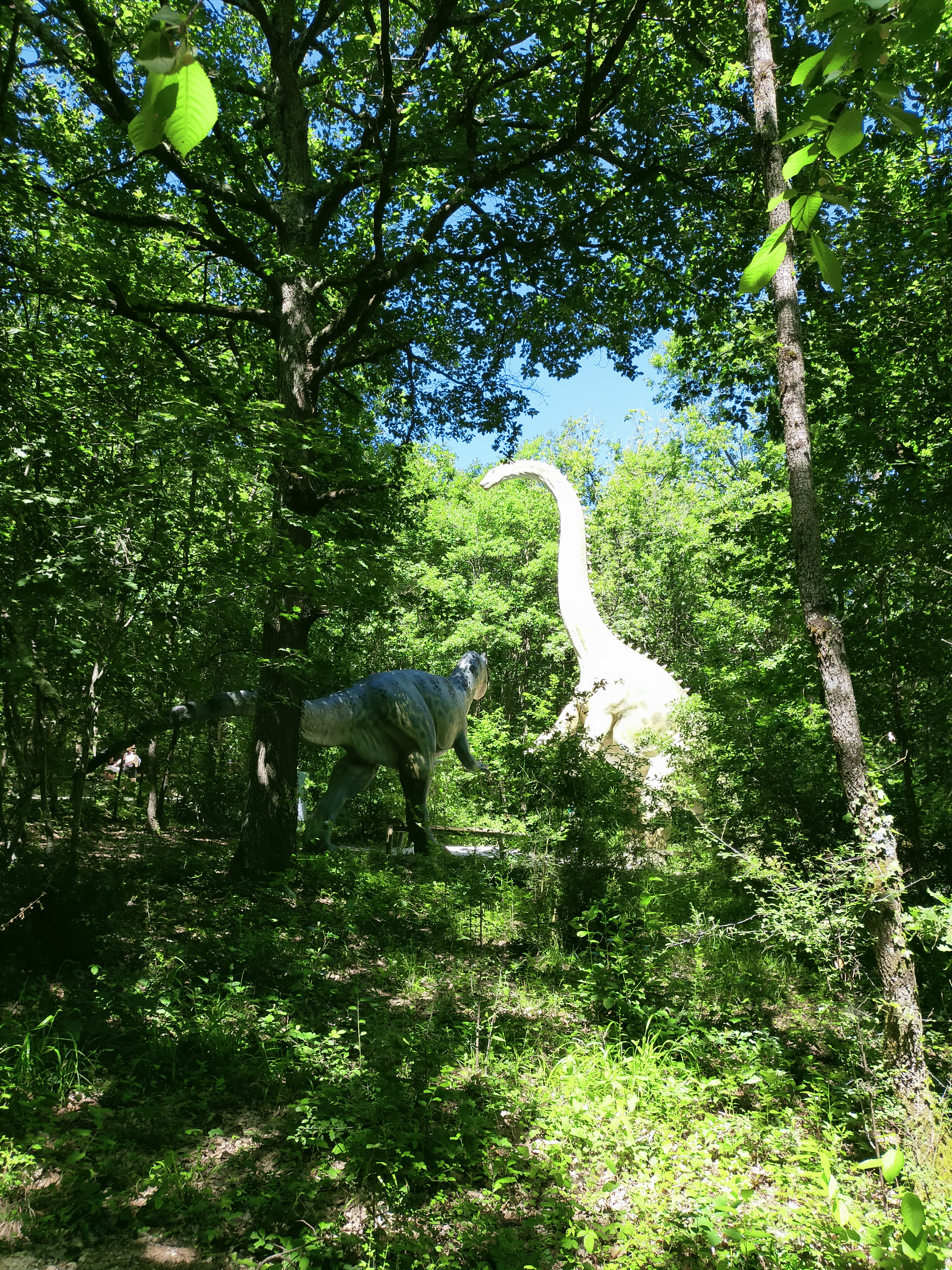 Photo n° 1 de l'avis de Aurore.a fait le 28/05/2022 à 20:40