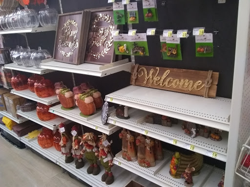 Craft Store «A.C. Moore Arts and Crafts», reviews and photos, 1041 Beaver Creek Commons Dr, Apex, NC 27502, USA