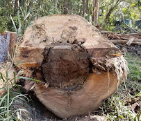 Prime Termite and Pest Control - Photo 9 - Car repair in , San Diego