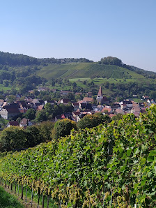 Weingut Pfisterer Weinsberger Str. 34, 74626 Bretzfeld, Deutschland
