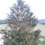 Photo n°3 de l'avis de Luggi. fait le 29/08/2018 à 14:15 sur le  Landgasthof Mayerhofer à Hinterschmiding