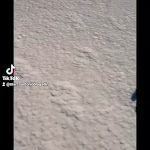 Photo n°9 de l'avis de Quarzo.e fait le 21/06/2023 à 01:12 sur le  Angelo Sebastiani refuge à Micigliano