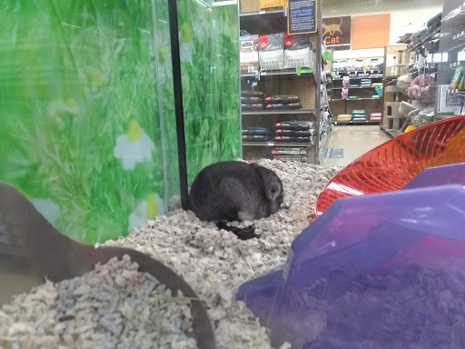 Pet Supply Store «Petco Animal Supplies», reviews and photos, 1619 SE Ensign Ln, Warrenton, OR 97146, USA