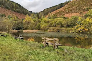 Clydach Vale Country Park image