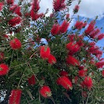 Photo n°1 de l'avis de Rini.a fait le 03/05/2024 à 16:34 sur le  Quinta da Cerejeira à Ferreira do Zêzere