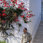 Photo n°1 de l'avis de Walter.r fait le 26/06/2023 à 08:51 sur le  Hotel Terme Royal Palm à Forio