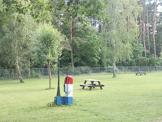 Comentarii opinii despre Pole namiotowe Młody Delfin pole namiotowe i pokoje gościnne Noclegi Camping