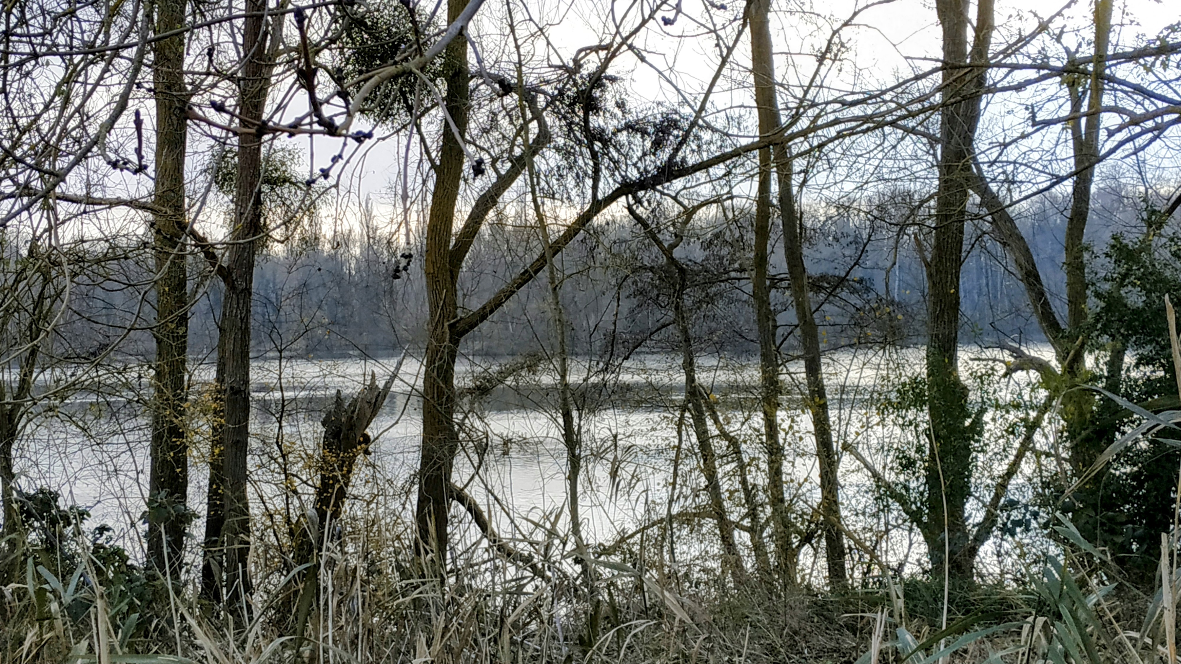 Photo n° 21 de l'avis de The.a fait le 12/12/2022 à 16:29